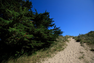 france, region Normandie, Manche, cotentin, plages du debarquement, Sainte-Marie du Mont,  Utah