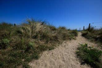 france, region Normandie, Manche, cotentin, plages du debarquement, Sainte-Marie du Mont,  Utah
