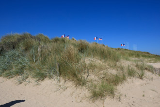 france, region Normandie, Manche, cotentin, plages du debarquement, Sainte-Marie du Mont,  Utah