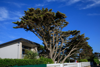 France, region Normandie, Manche, cotentin, Agon coutainville,  plage, rue dramad derriere la