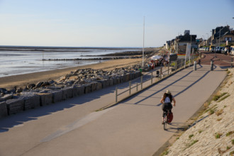 France, region Normandie, Manche, cotentin, Agon coutainville,  plage, rue dramad derriere la