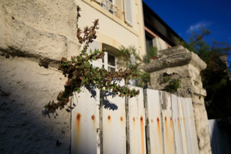 France, region Normandie, Manche, cotentin, Agon coutainville,  plage, rue dramad derriere la
