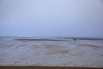 France, region Normandie, Manche, cotentin, Agon coutainville,  corniche du senequet? plage de la
