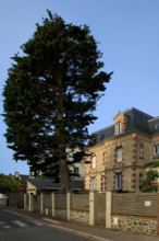 France, region Normandie, Manche, cotentin, Agon coutainville, villas derière la plage, promenade