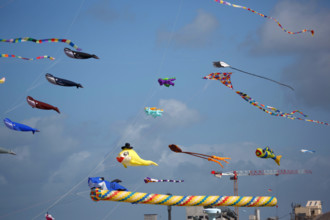 Dieppe, Festival international du cerf volant, édition 2025