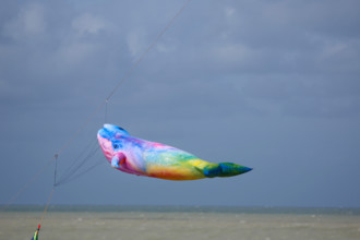 Dieppe, Festival international du cerf volant, édition 2025