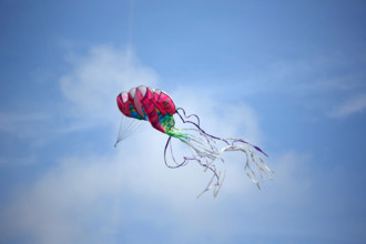 Dieppe, Festival international du cerf volant, édition 2025
