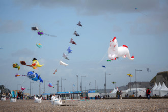 Dieppe, Festival international du cerf volant, édition 2025