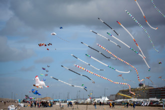 Dieppe, Festival international du cerf volant, édition 2025