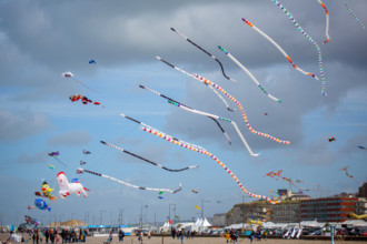Dieppe, Festival international du cerf volant, édition 2025