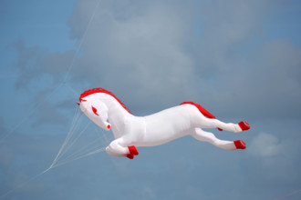 Dieppe, Festival international du cerf volant, édition 2025