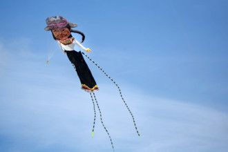 Dieppe, Festival international du cerf volant, édition 2025