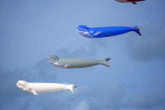Dieppe, Festival international du cerf volant, édition 2025