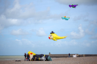Dieppe, Festival international du cerf volant, édition 2025