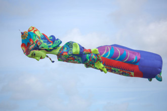 Dieppe, Festival international du cerf volant, édition 2025