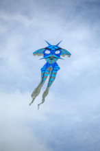 Dieppe, Festival international du cerf volant, édition 2025