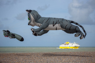 Dieppe, Festival international du cerf volant, édition 2025