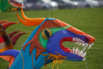 Dieppe, Festival international du cerf volant, édition 2025