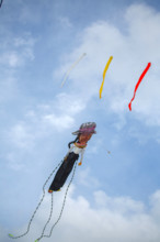 Dieppe, Festival international du cerf volant, édition 2025