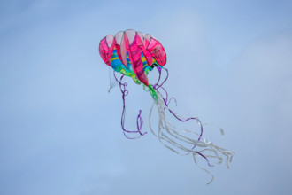 Dieppe, Festival international du cerf volant, édition 2025
