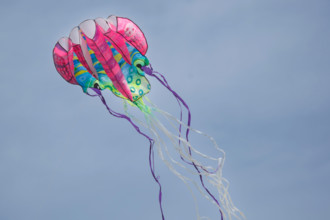 Dieppe, Festival international du cerf volant, édition 2025