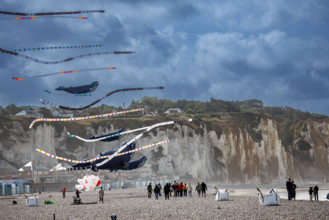 Dieppe, Festival international du cerf volant, édition 2025