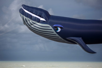 Dieppe, Festival international du cerf volant, édition 2025