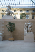 France, région Ile de France, Paris 1e arrondissement, musee du Louvre, cour Puget,