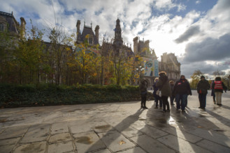 france, région Ile de France, Paris 4e arrondissement, place de l'hotel de ville vegetalisée,
