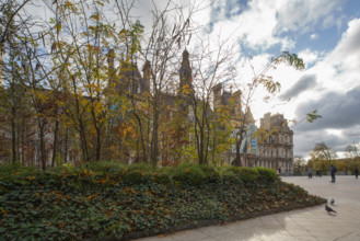 france, région Ile de France, Paris 4e arrondissement, place de l'hotel de ville vegetalisée,