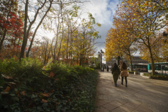 france, région Ile de France, Paris 4e arrondissement, place de l'hotel de ville vegetalisée,
