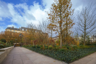 france, région Ile de France, Paris 4e arrondissement, place de l'hotel de ville vegetalisée,