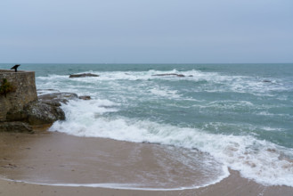 france region Bretagne, Finistère sud, Concarneau, grandes marées sur la corniche,