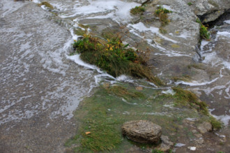 france region Bretagne, Finistère sud, Concarneau, grandes marées sur la corniche,