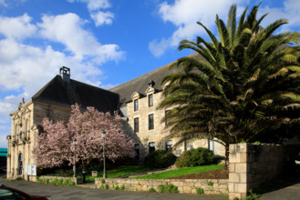 FRance, région Bretagne, Côtes d'Armor, lannion, les ursulines, magnolias
