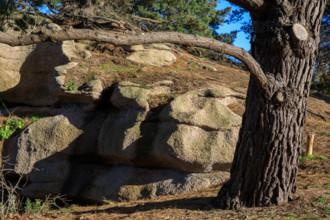 france, région Bretagne, Côtes d'Armor, côte de granit rose, Ploumanac'h, les rochers