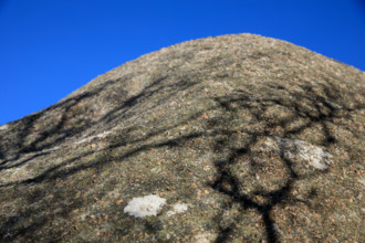france, région Bretagne, Côtes d'Armor, côte de granit rose, Ploumanac'h, les rochers