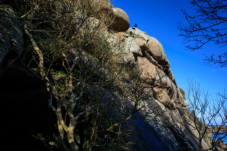 france, région Bretagne, Côtes d'Armor, côte de granit rose, Ploumanac'h, les rochers
