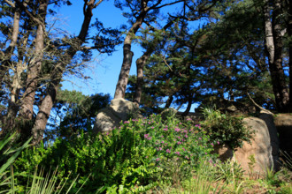 france, région Bretagne, Côtes d'Armor, côte de granit rose, Ploumanac'h, les rochers