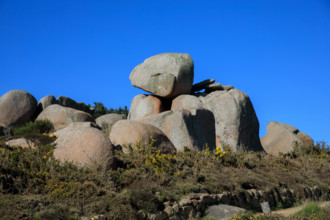 france, région Bretagne, Côtes d'Armor, côte de granit rose, Ploumanac'h, les rochers