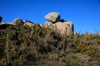 france, région Bretagne, Côtes d'Armor, côte de granit rose, Ploumanac'h, les rochers