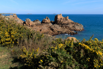 france, région Bretagne, Côtes d'Armor, côte de granit rose, Ploumanac'h, les rochers