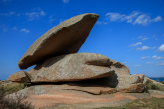 france, région Bretagne, Côtes d'Armor, côte de granit rose, Trégastel,, presqu'ile Renote,