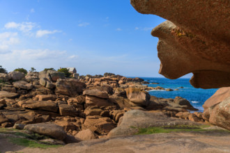 france, région Bretagne, Côtes d'Armor, côte de granit rose, Trégastel,, presqu'ile Renote,