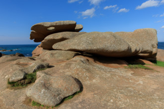 france, région Bretagne, Côtes d'Armor, côte de granit rose, Trégastel,, presqu'ile Renote,