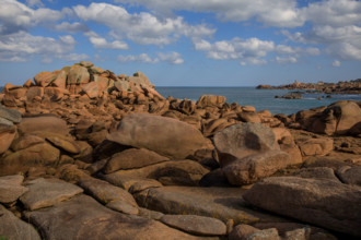 france, région Bretagne, Côtes d'Armor, côte de granit rose, Trégastel,, presqu'ile Renote,
