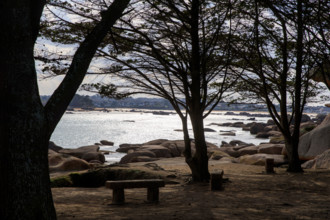 france, région Bretagne, Côtes d'Armor, côte de granit rose, Trégastel,, presqu'ile Renote,