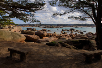 france, région Bretagne, Côtes d'Armor, côte de granit rose, Trégastel,, presqu'ile Renote,