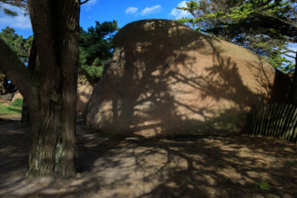 france, région Bretagne, Côtes d'Armor, côte de granit rose, Trégastel,, presqu'ile Renote,