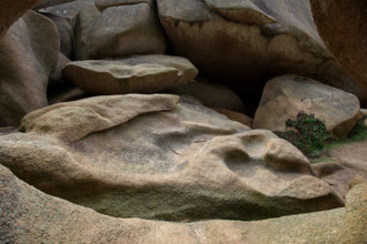 france, région Bretagne, Côtes d'Armor, côte de granit rose, Trégastel,, presqu'ile Renote,